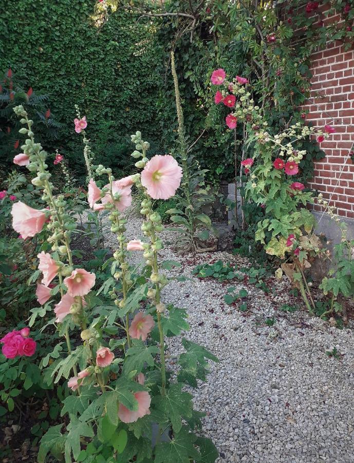 Villa Ritte Dendermonde Exterior foto